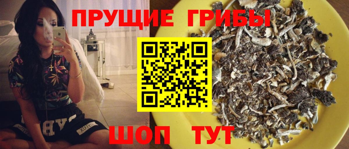 Кушва  Галлюциногенные грибы Psilocybe  дарнет шоп  Вход с VPN 